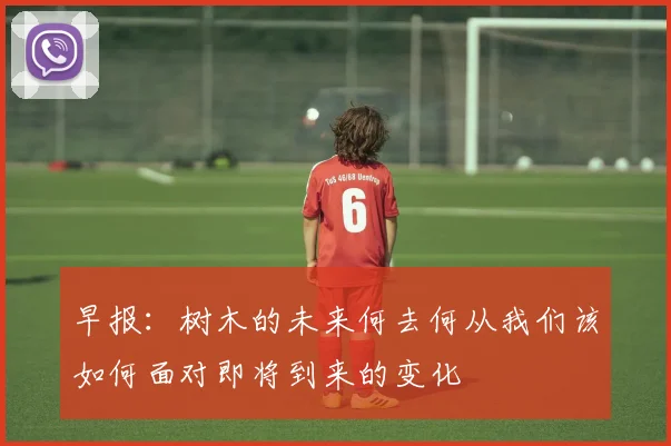 早报：树木的未来何去何从我们该如何面对即将到来的变化