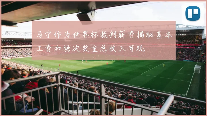 马宁作为世界杯裁判薪资揭秘基本工资加场次奖金总收入可观
