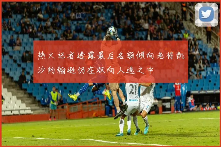 热火记者透露最后名额倾向老将凯沙约翰逊仍在双向人选之中
