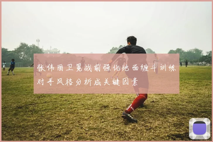 张伟丽卫冕战前强化地面缠斗训练对手风格分析成关键因素